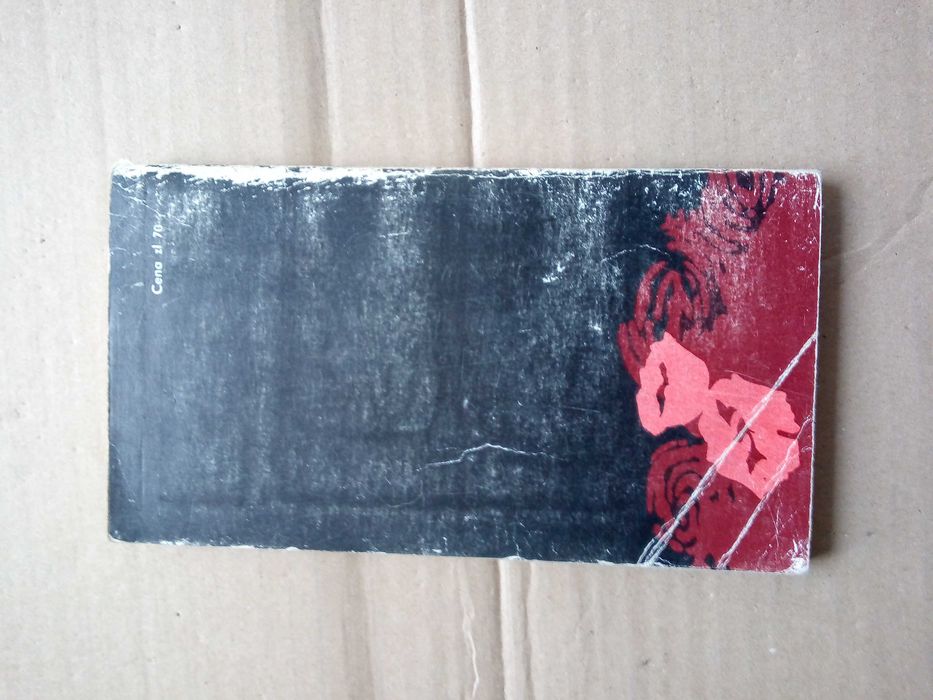 Pola zakwitną makami Witold Kozłowski