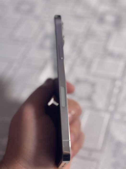 iPhone 12 Pro Max 256 GB Silver Neverlok