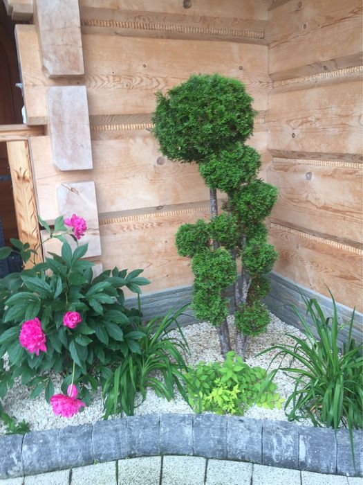 Садовник, которого вы искали!