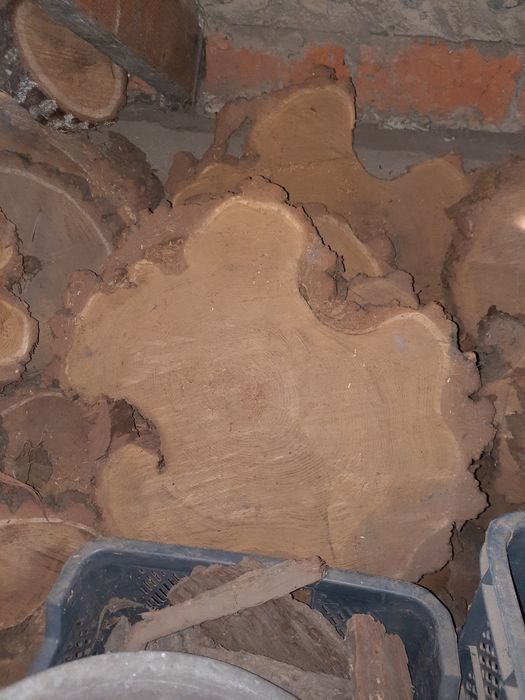 Plastry/ krążkiakacji