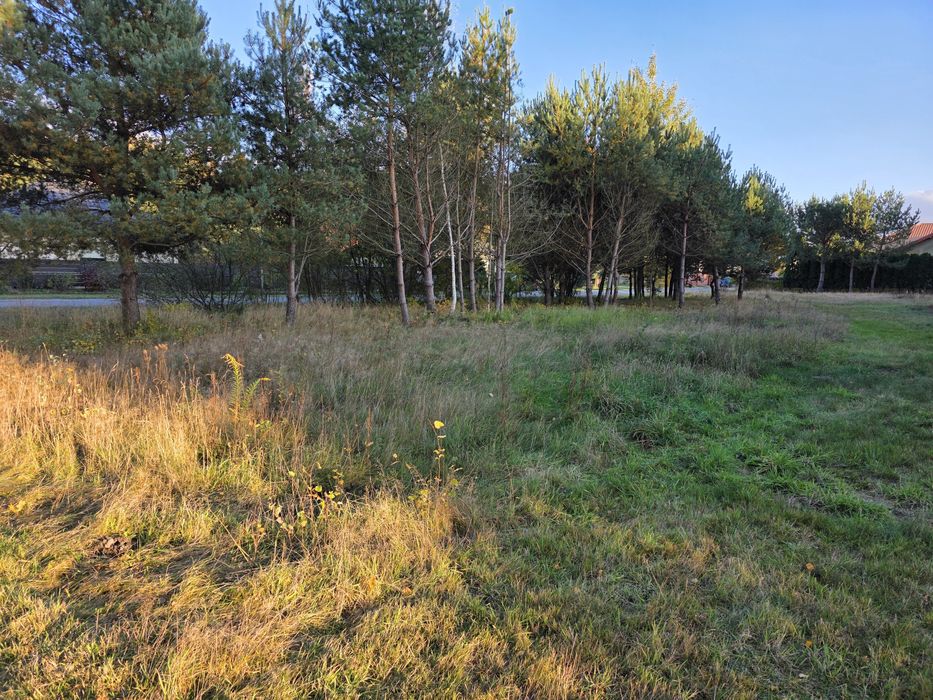 Działka budowlana w Bukowcu 95-006