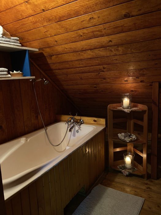 Leśny Czar-Dom na wynajem