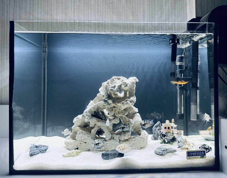 Акваріум 54 л