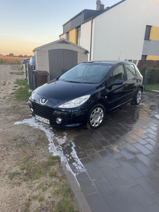 Peugeot  307  1.6 HDI  Klima  Hak Polecam