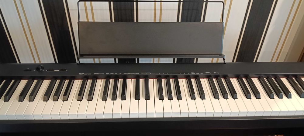 Piano Digital Casio CDP-S100