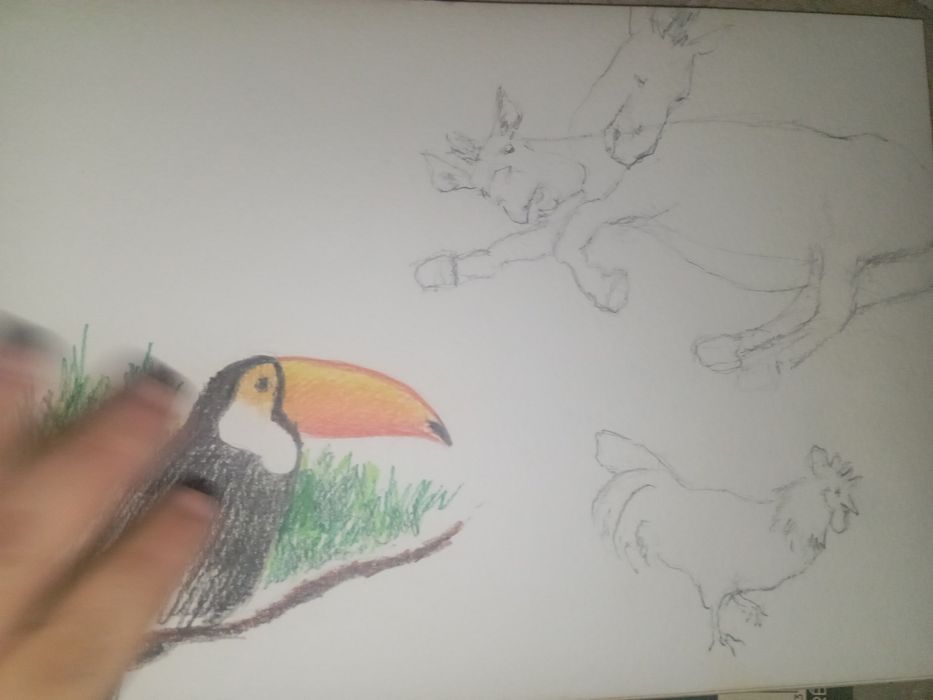 Álbum de desenhos da Manuela