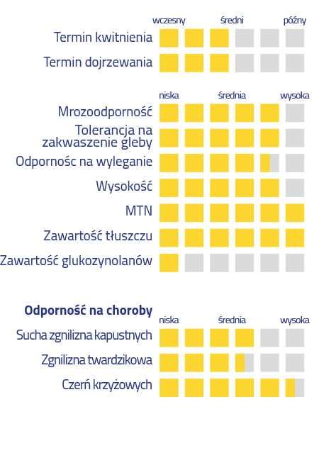 Rzepak Gemini z zaprawą insektycydową