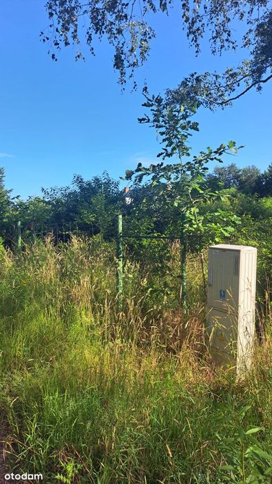 Dzialka budowlana Poznań - Piątkowo Morasko - Widok 4