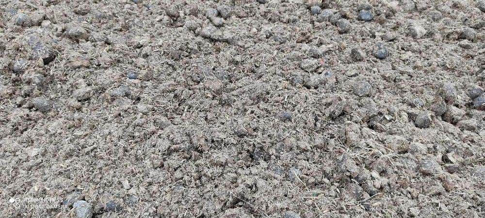 Obornik koński ekologiczny czysty