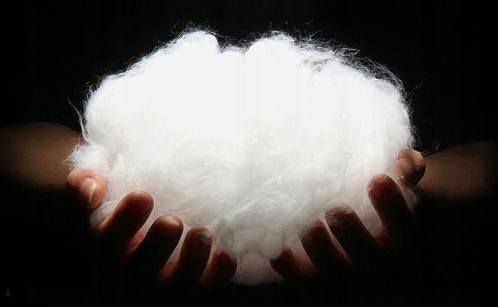 Miękkie Legowisko L 45x30 Dla Psa Kota Ciepła Poduszka Kojec Kanapa