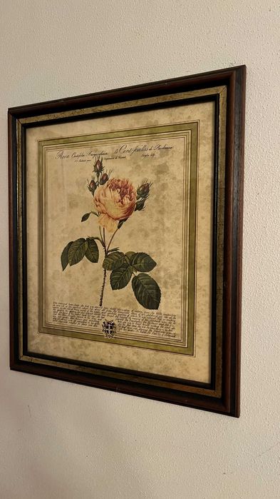 Quadro antigo 47cm x 74cm - Litografias rosas