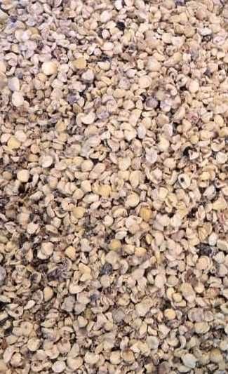 Castanhas para Porcos, sem casca – Alimentação Animal