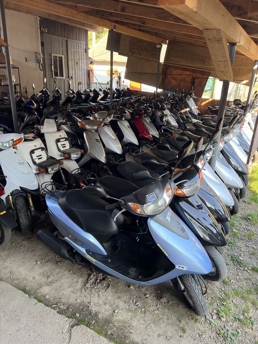 Honda Dio 35 ZX Свіжий