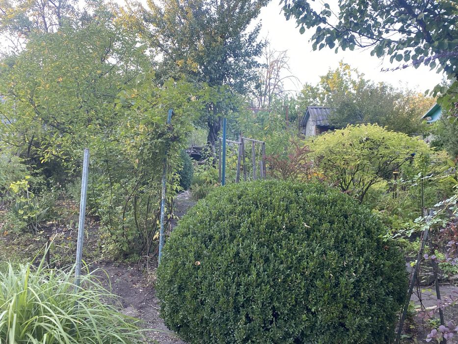 Дачний невеликий будинок