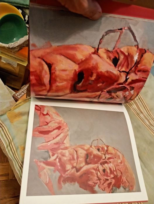 Catálogo Volver a casa-várias pinturas de Saramago-Juan Domingues-Agostinho Santos Curadoria-Casa Branca de Gramido25E-Surprise G.D.C/Caixa10EDesde2E