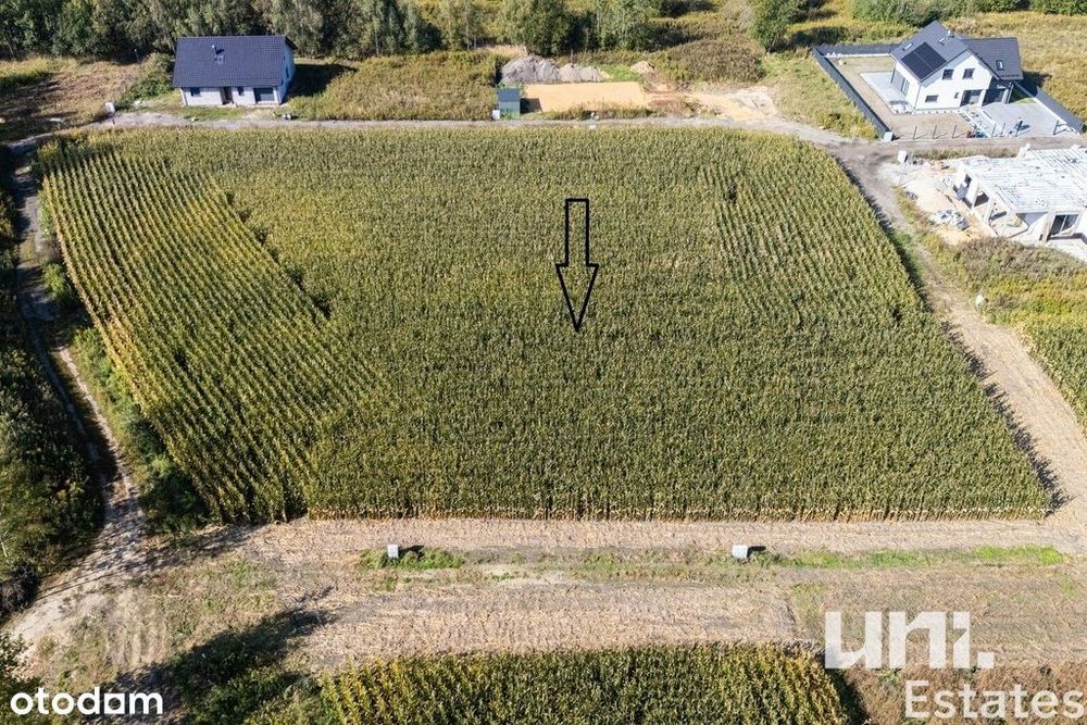 budowlana | widokowa | 7,8 ar | Spacerowa - Widok 3