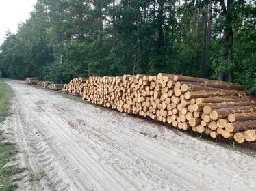 Drewno kominkowe opałowe