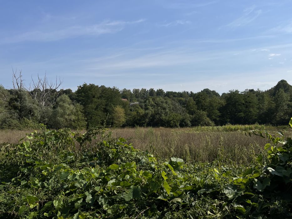 Делимый участок Рославичи рядом с озером