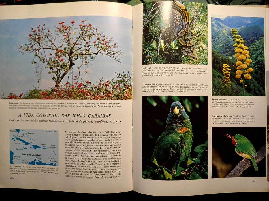 Segredos do Mar - O Mundo Fascinante dos Oceanos e das Ilhas