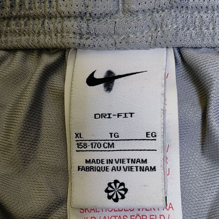 Сірі штани від Nike