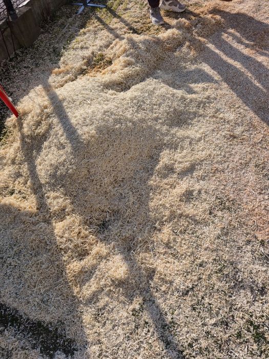 Trociny heblowane sosna