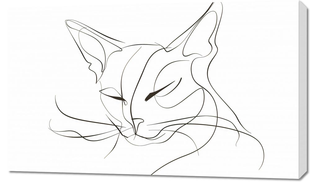 Obraz 100x60cm Linijny Kot