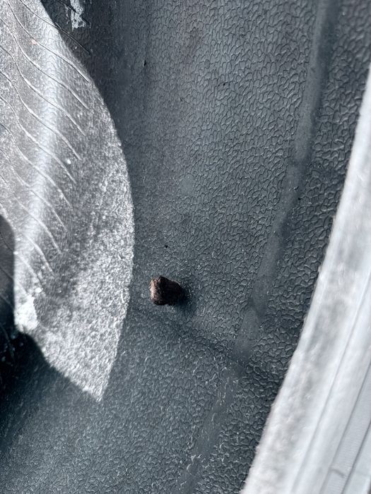 235 35 20 Pirelli Sottozero 3 99% 2022 Шини Зима