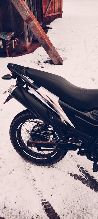 Продам Лонкін прус