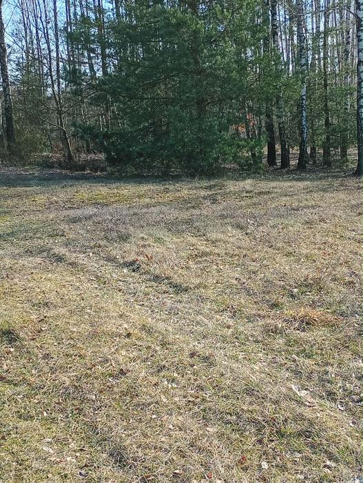 Działka o powierzchni 5287 m2