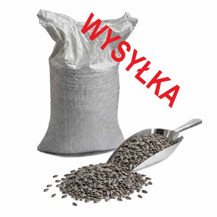 Słonecznik pasiak paskowany iryga  20kg karma dla ptaków zimujących gołębi POLSKI tyllko wysyłka OLX CZYSTY