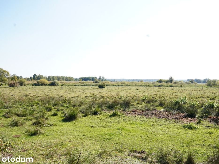 Wyjątkowa działka widokowa 2800 m²|Dolina Radomki|PuszczaKozienicka|WZ - Widok 4