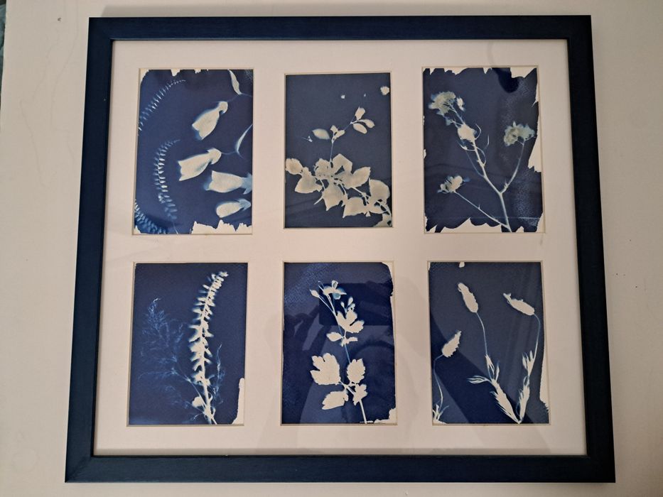 Cianotipia várias dimensões/formatos arte casamentos decoração postais