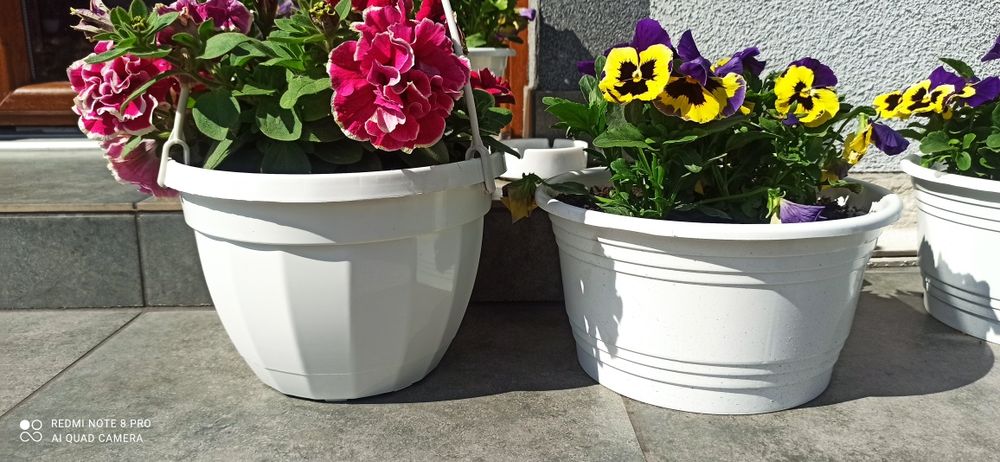 Doniczki - misy wiszące fi 25 cm