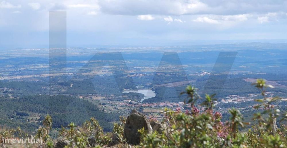 Terreno Rústico com Potencial Agrícola – Reboleiral, Souto da Casa