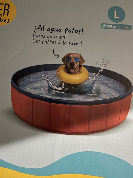 Dog Pool64751068227457123