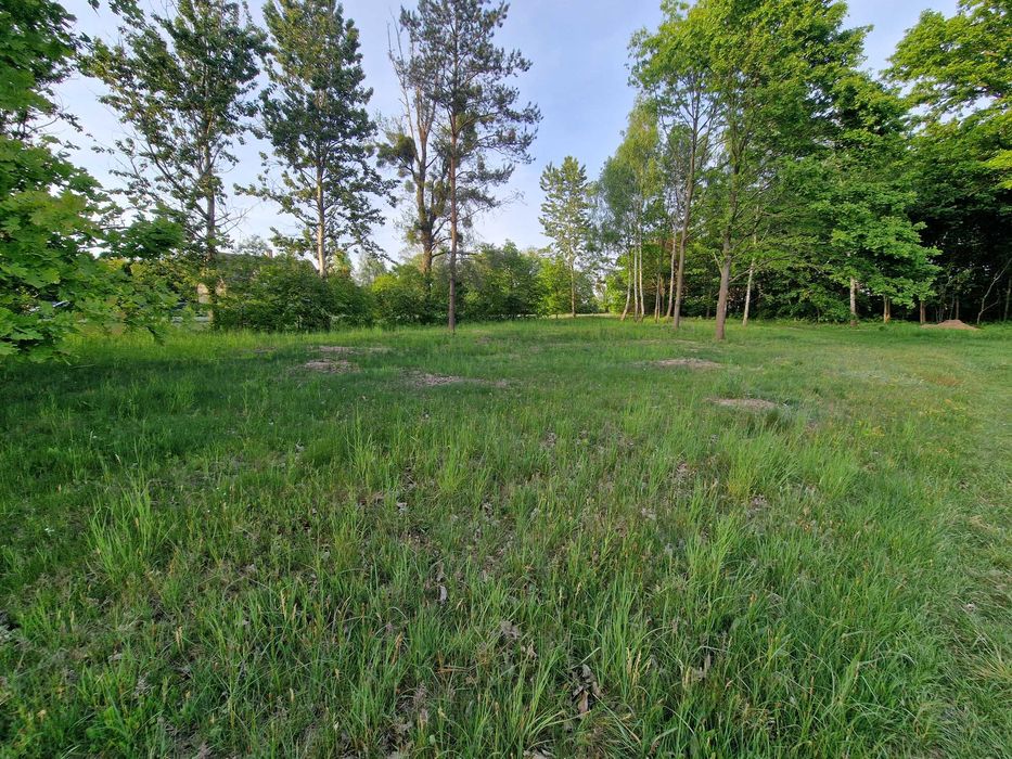 sprzedam działkę usługowo-produkcyjną Poniatowice przy trasie nr 8 - Widok 5