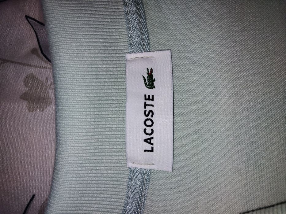 Camisa polo da lacoste original