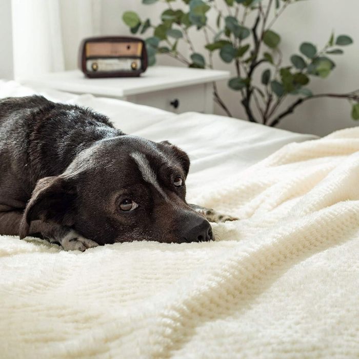 MIULEE koc zimowy narzuta flanelowy z granulowanym wzorem 170 x 210