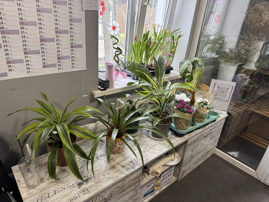 Готовий діючий бізнес, магазин квітів та кульок