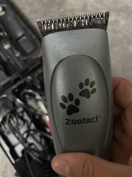 Tosquiadora cão zoofari