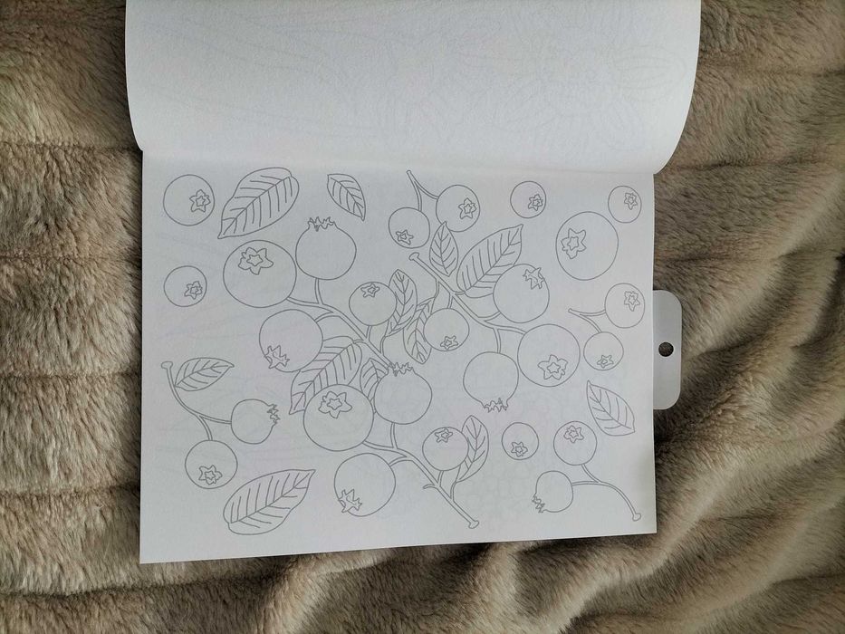 Caderno com figuras para pintar NOVO