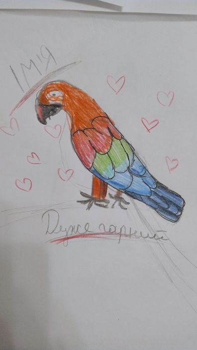 Намалюю вашого улюбленця