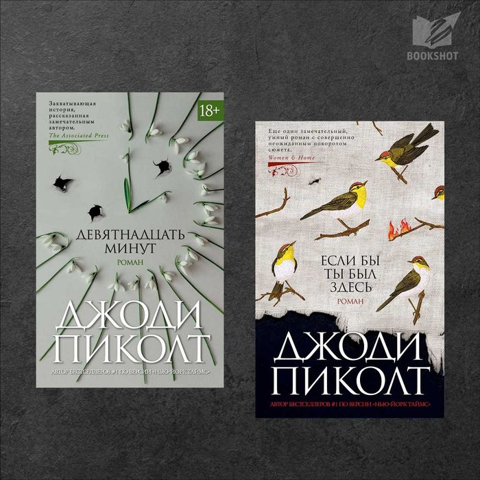 Девятнадцать минут + Если бы ты был здесь. Джоди Пиколт