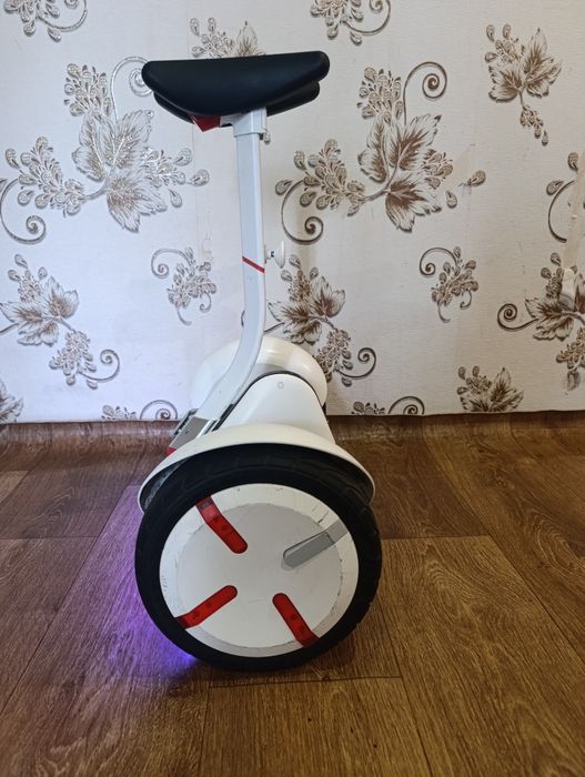 Segway Ninebot S (Mini PRO)