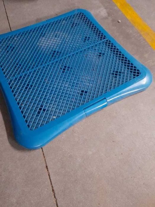 tabuleiro treino urina cão 1X1