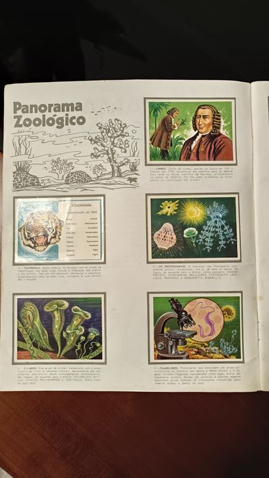 Cadernetas Panorama Zoológico completa