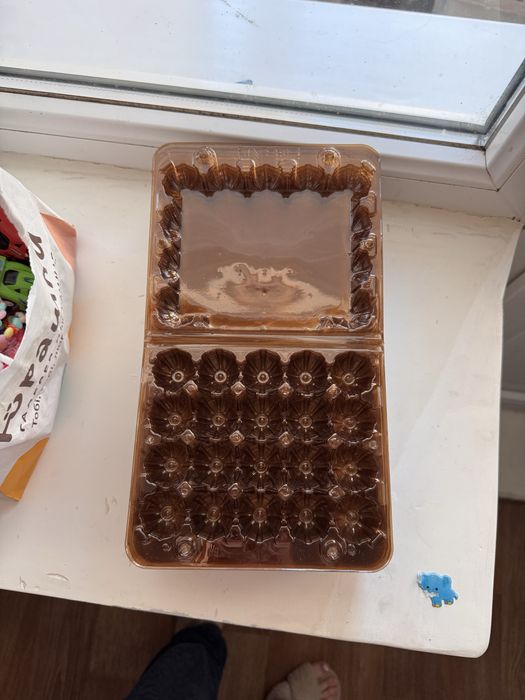 Лотки для перепелиних яєць. 20 шт