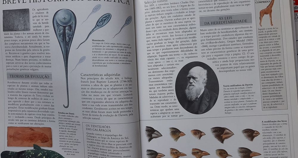 Biblioteca médica da família