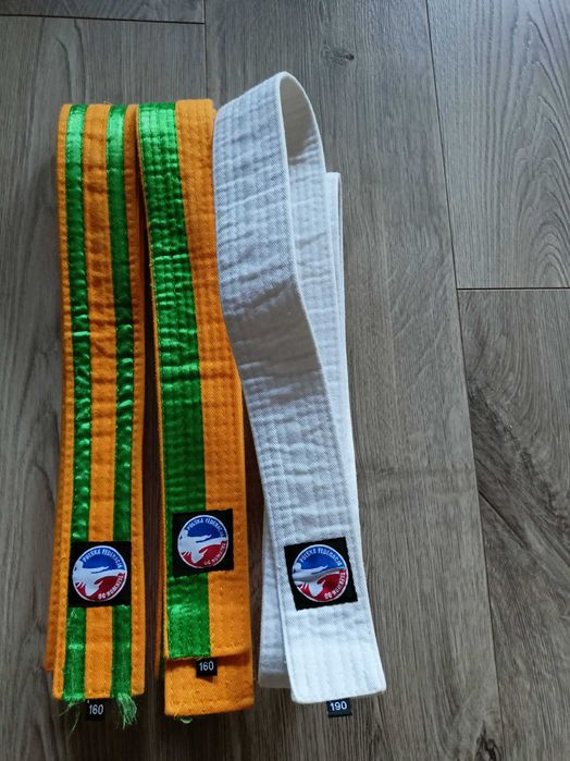 Pas taekwondo pft