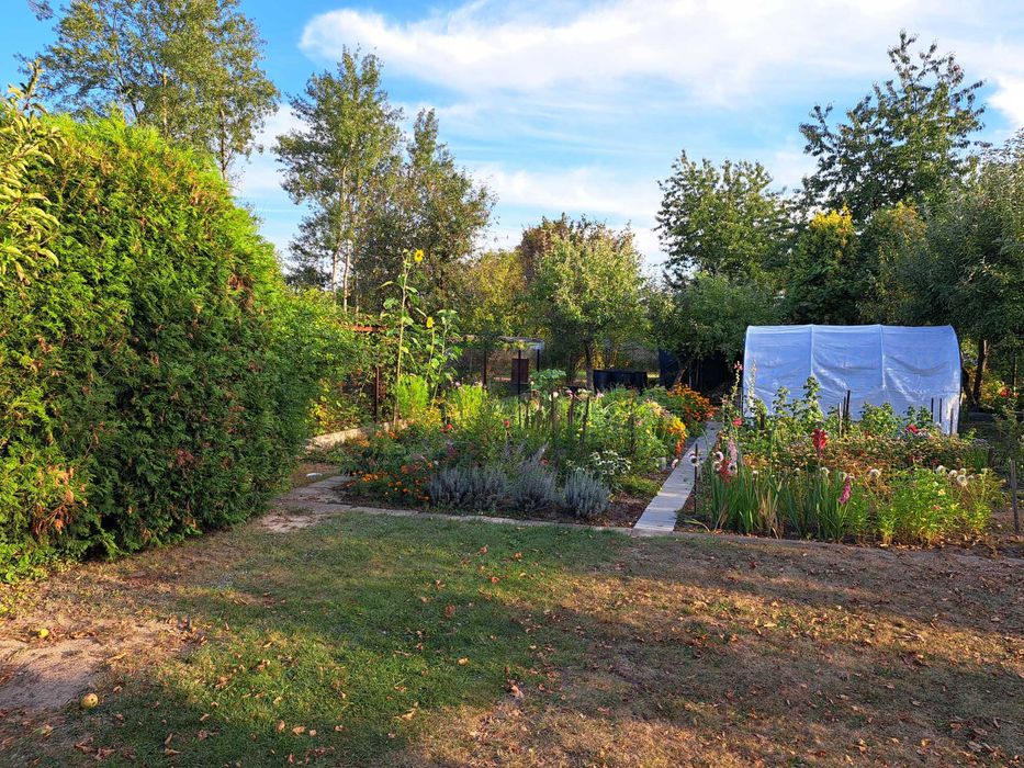 Działka rekreacyjna ROD Metalowiec